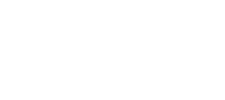 Pink Wig Gala